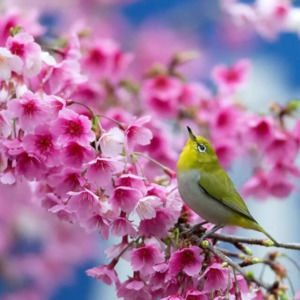 Meet your Posher, Sherri